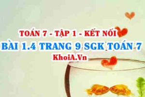Bài 1.4 trang 9 SGK Toán 7 tập 1 Kết nối tri thức